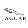 Jaguar típusok